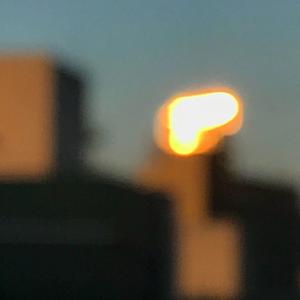 直男大鸡巴在线播放
