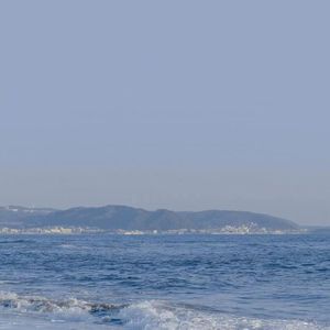 直男大鸡巴在线播放
