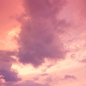 直男大鸡巴在线播放
