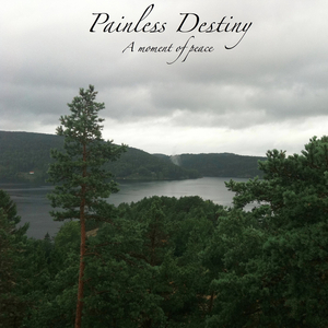 直男大鸡巴在线播放
